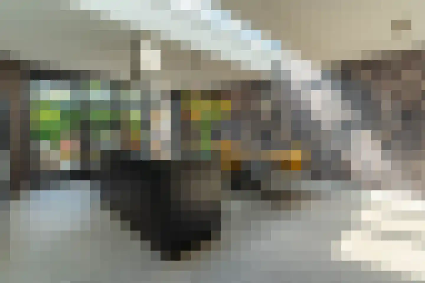 Zilverschoon 45 Venray thumbnail 20