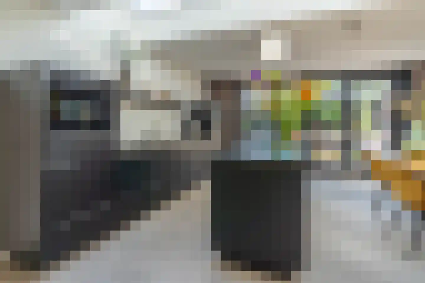 Zilverschoon 45 Venray thumbnail 21