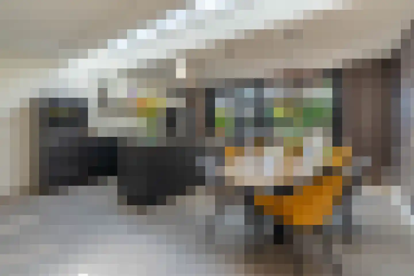 Zilverschoon 45 Venray thumbnail 22