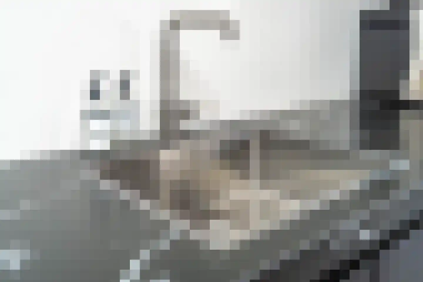 Zilverschoon 45 Venray thumbnail 25