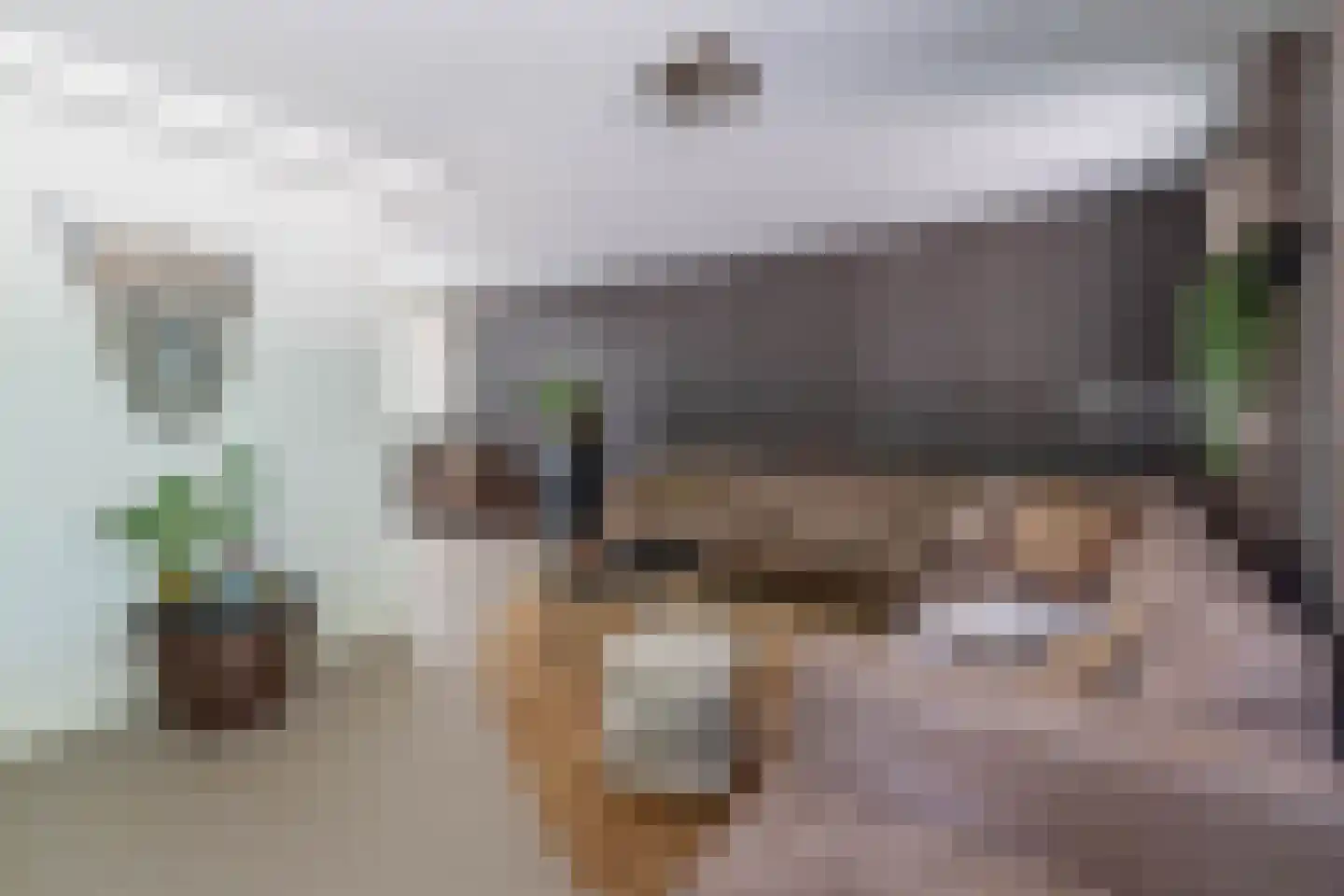 Zilverschoon 45 Venray thumbnail 30