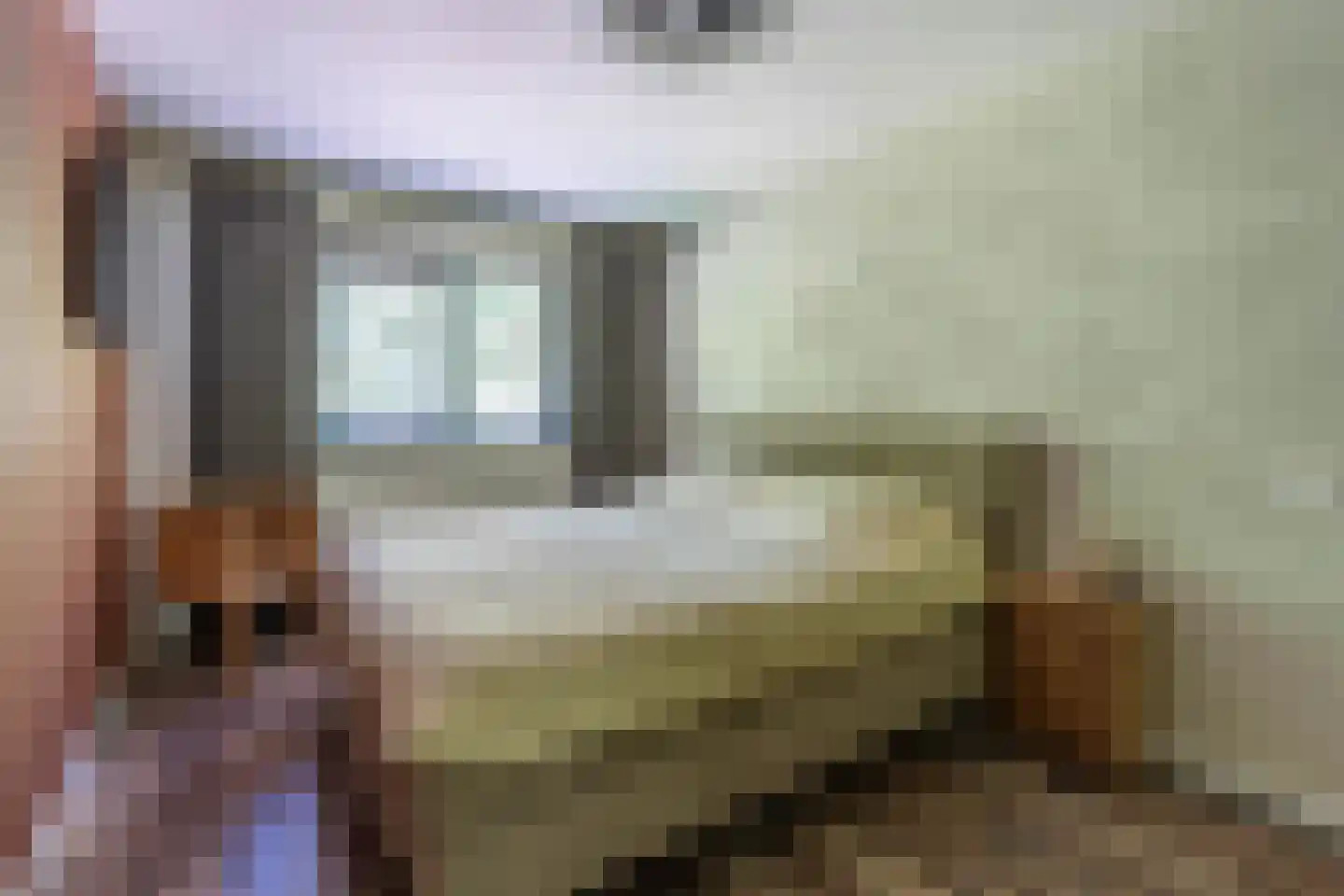 Zilverschoon 45 Venray thumbnail 41