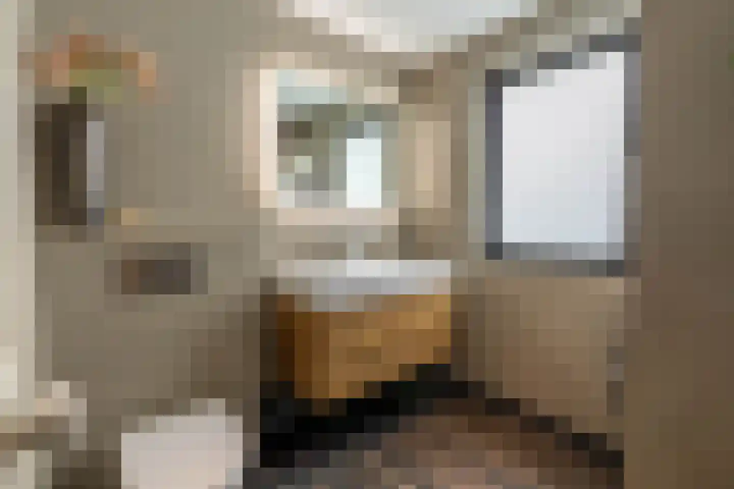 Zilverschoon 45 Venray thumbnail 46