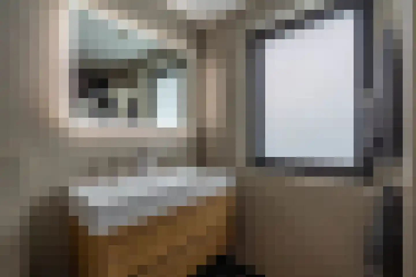 Zilverschoon 45 Venray thumbnail 48