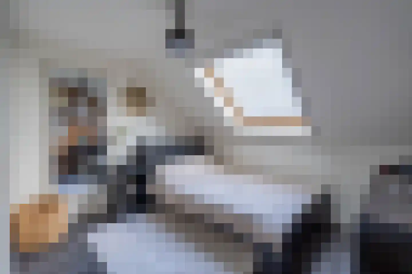 Zilverschoon 45 Venray thumbnail 51