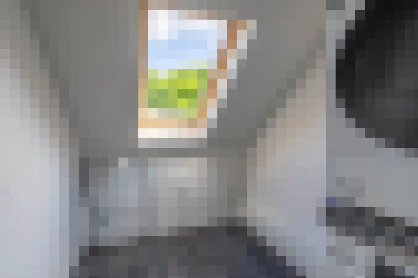 Zilverschoon 45 Venray thumbnail 56