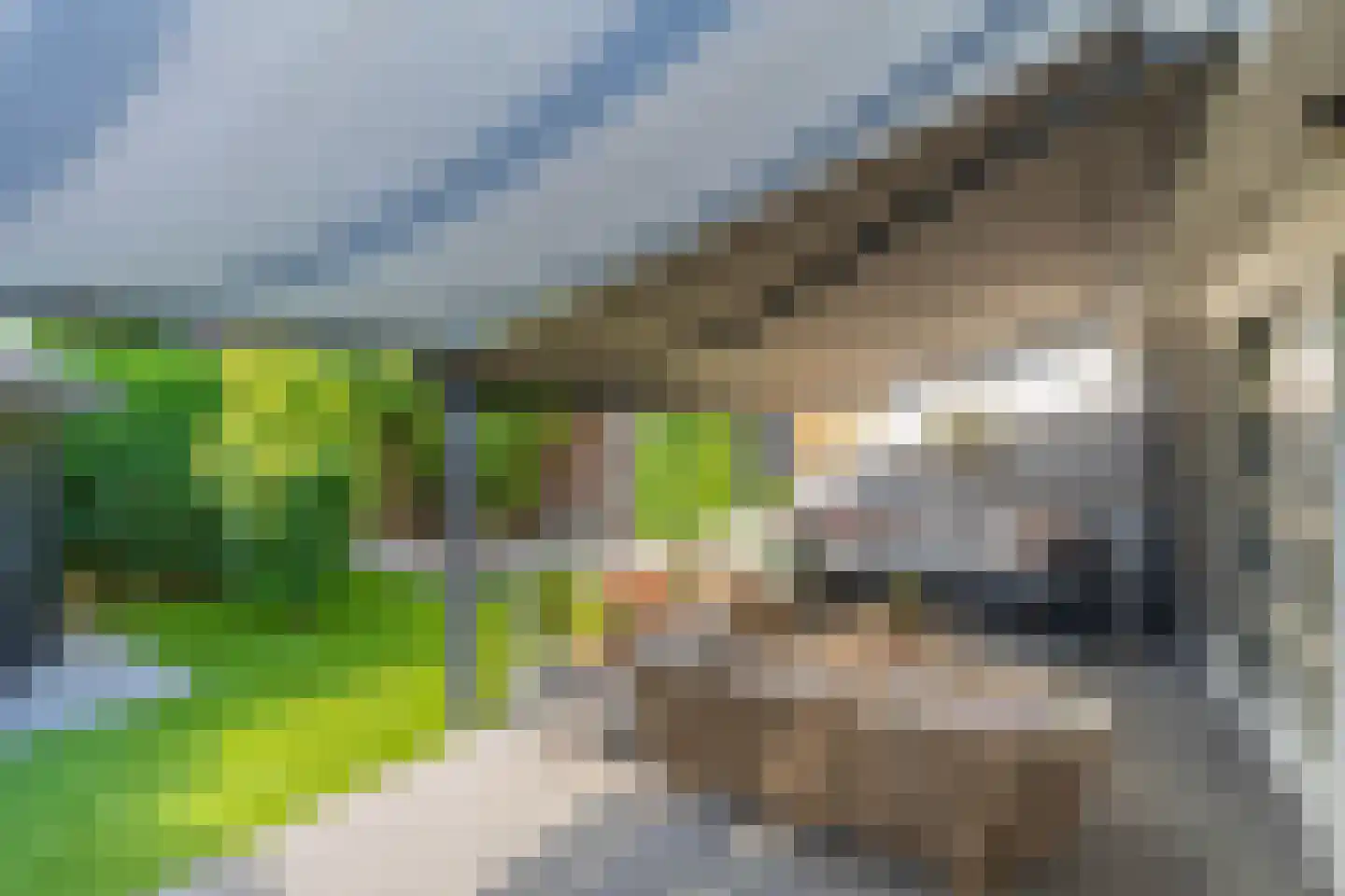 Zilverschoon 45 Venray thumbnail 9