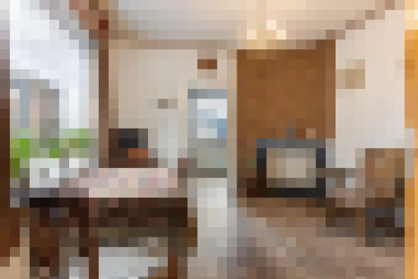 Zilverschoon 52 Apeldoorn thumbnail 6