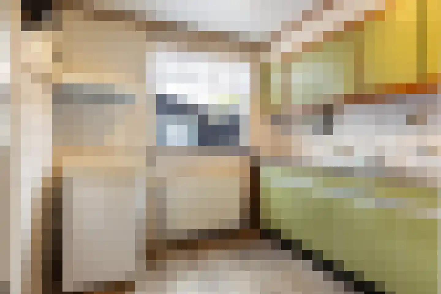 Zilverschoon 52 Apeldoorn thumbnail 8