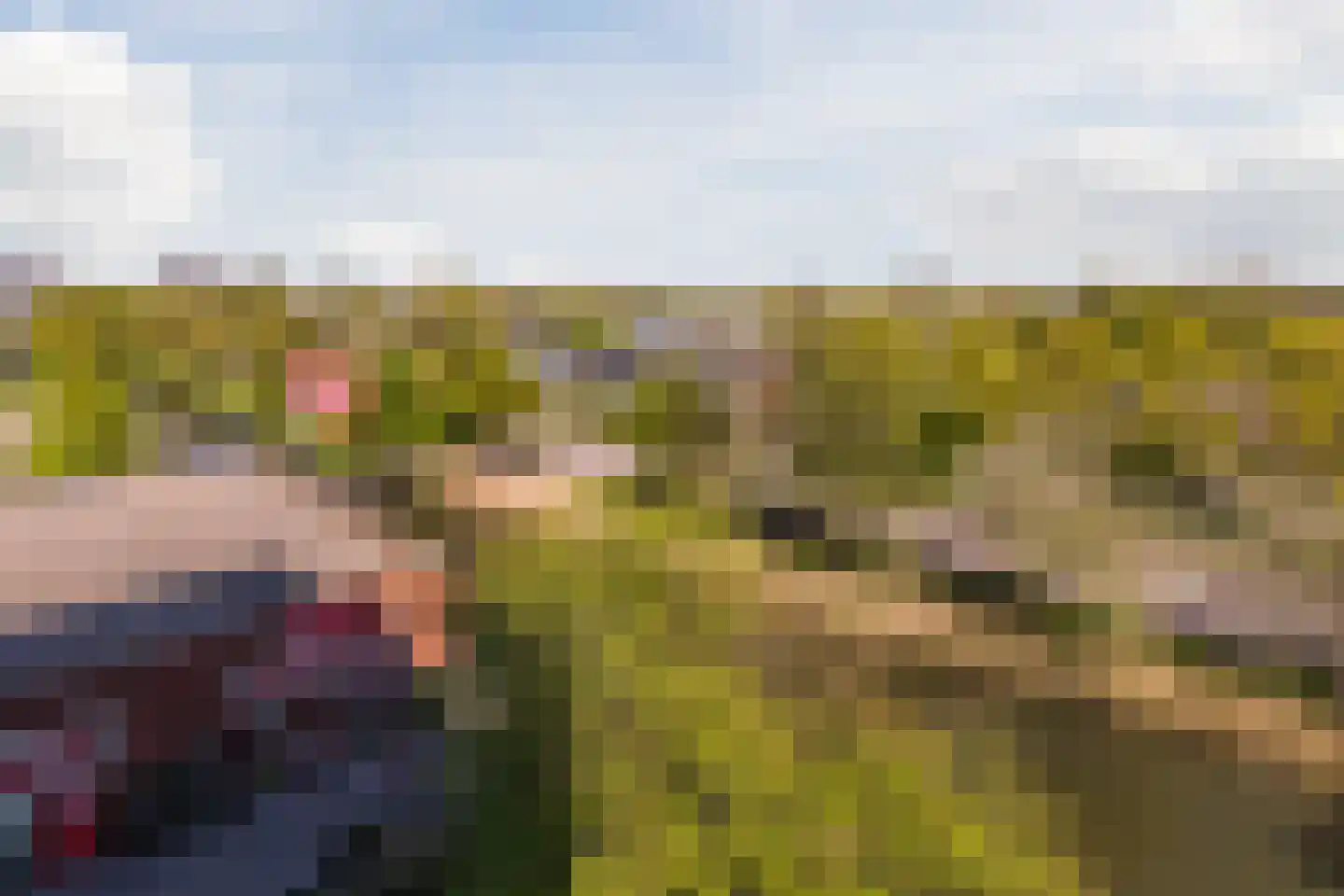 Zilverschoon 52 Uithoorn thumbnail 17