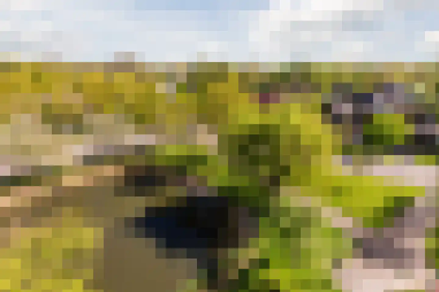 Zilverschoon 52 Uithoorn thumbnail 18