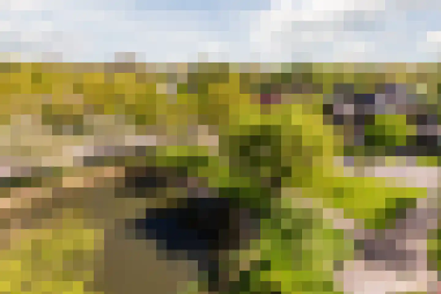 Zilverschoon 52 Uithoorn thumbnail 24