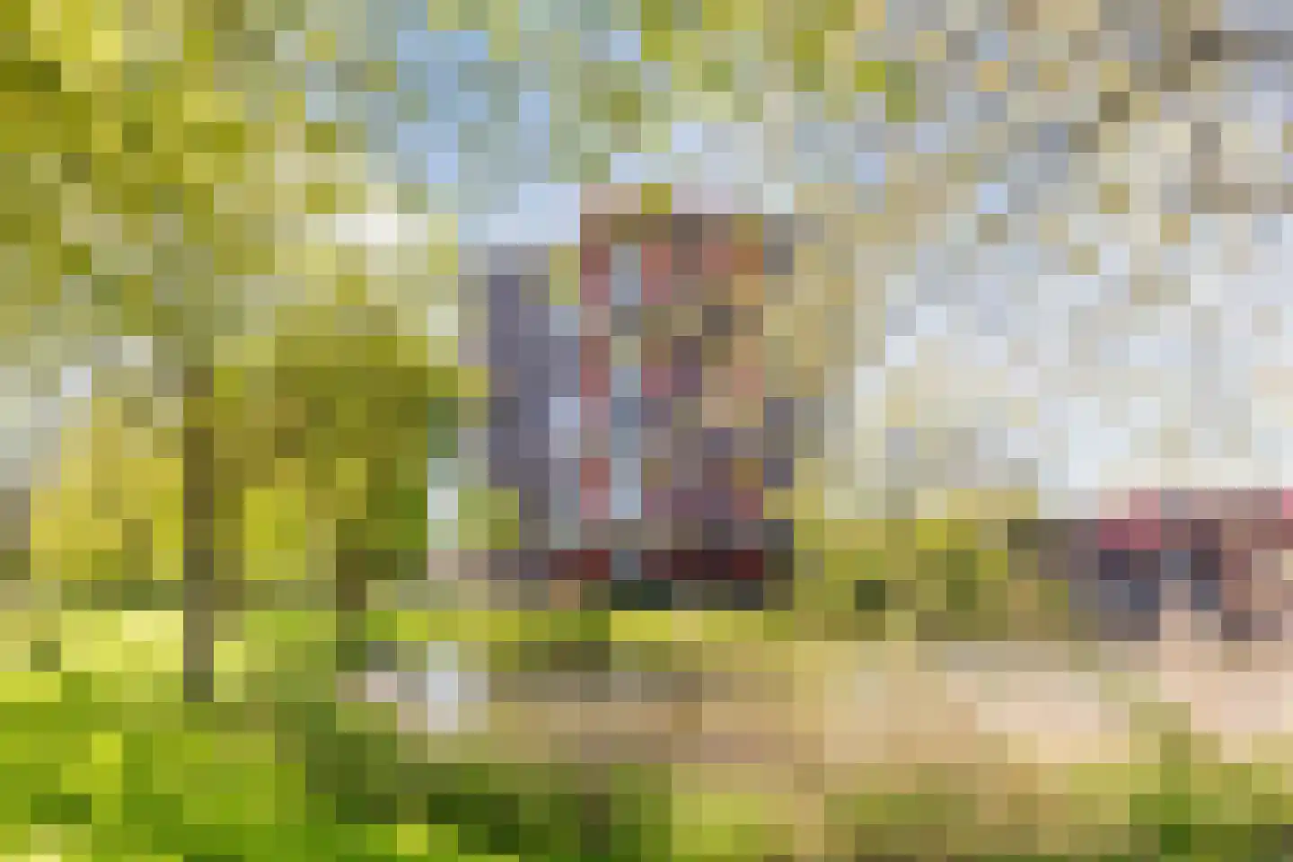 Zilverschoon 52 Uithoorn thumbnail 26