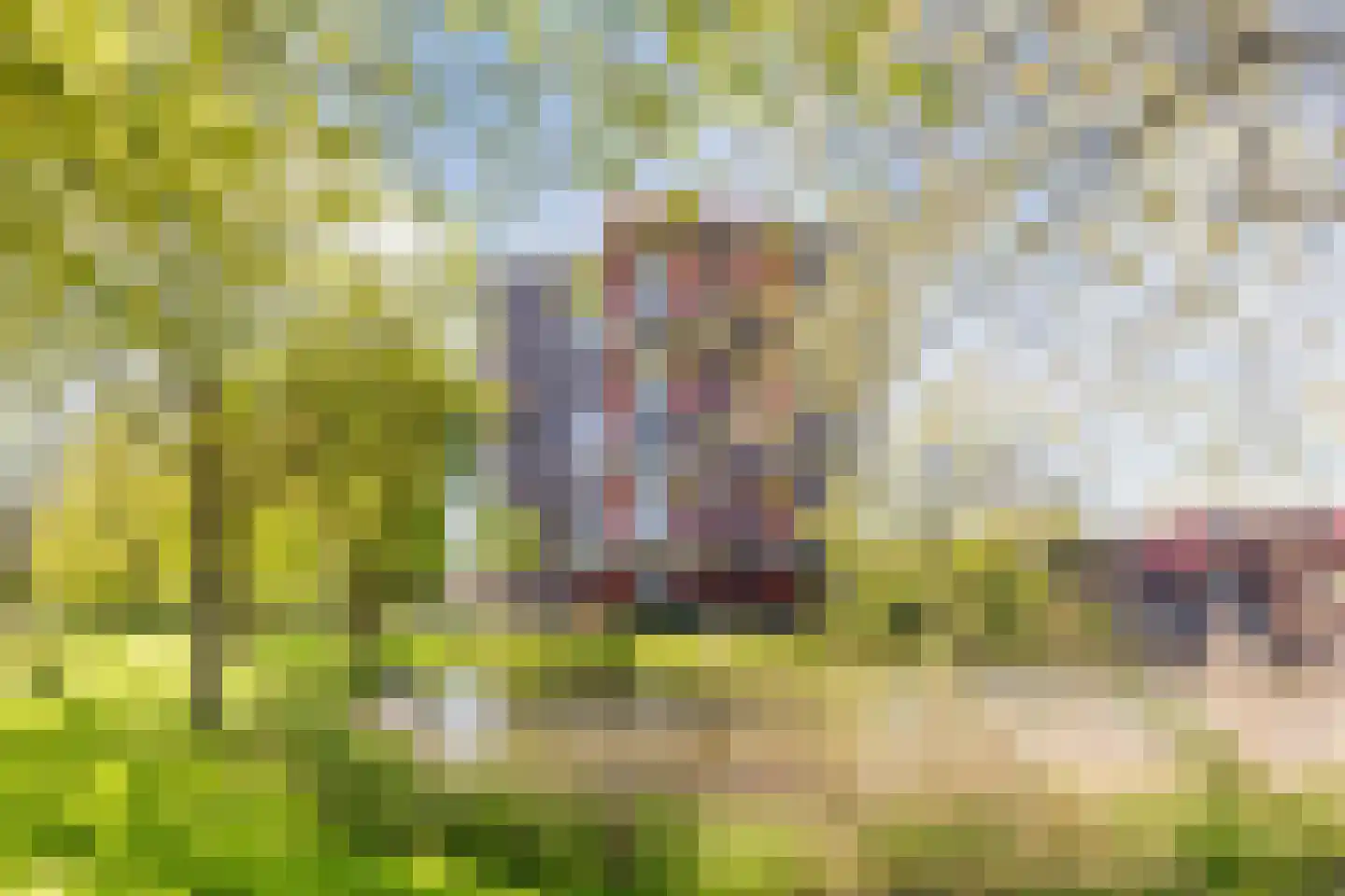 Zilverschoon 52 Uithoorn thumbnail 33