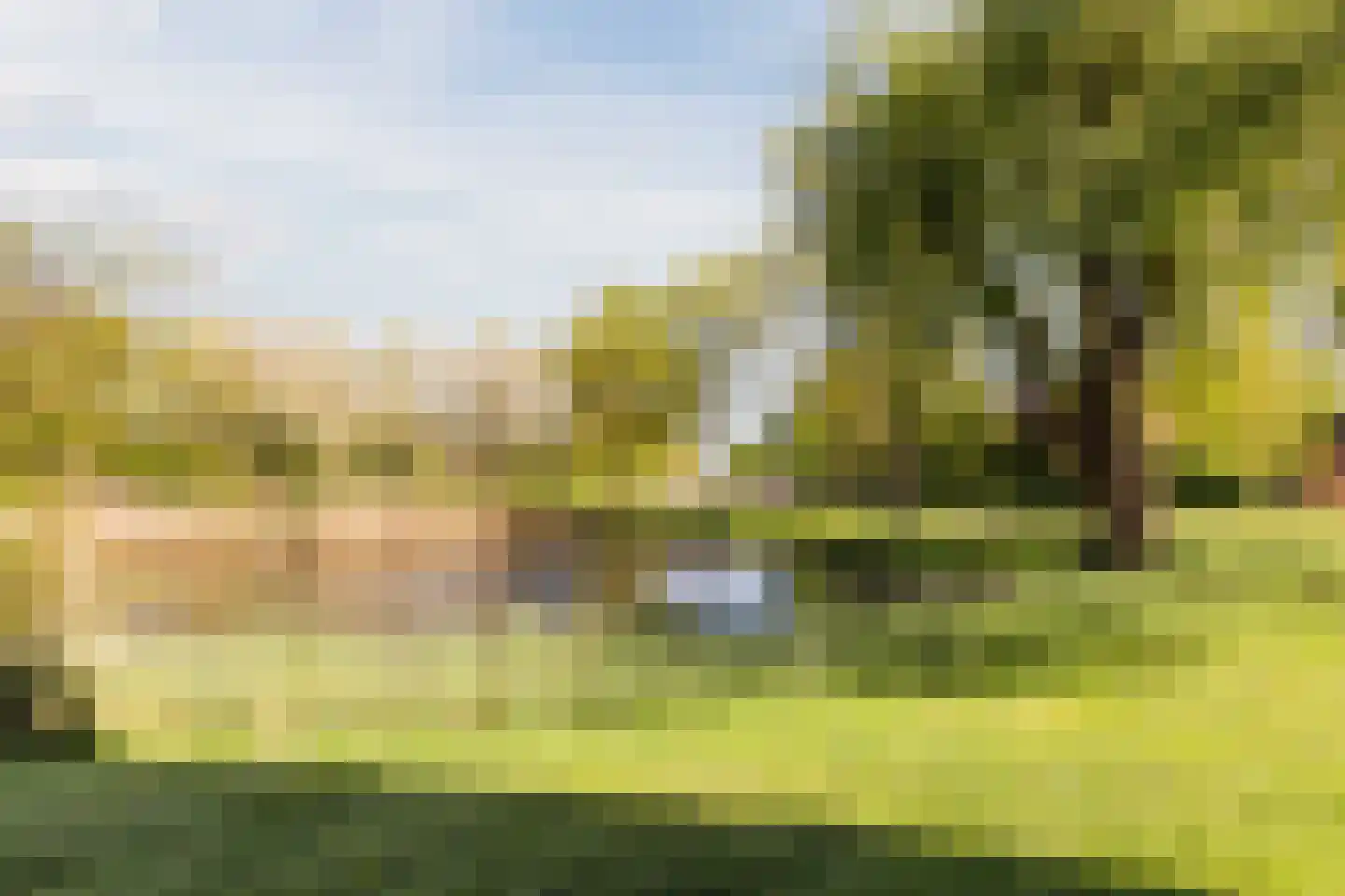 Zilverschoon 52 Uithoorn thumbnail 36