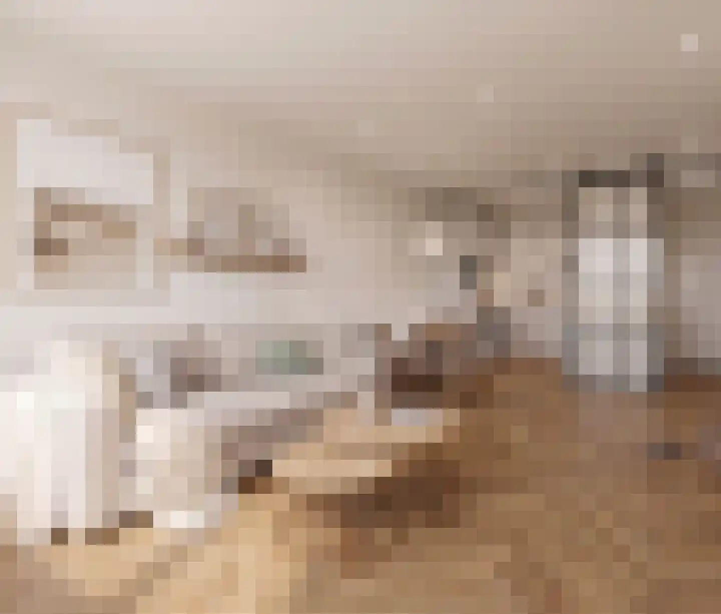 Zilverschoon 52 Uithoorn thumbnail 5