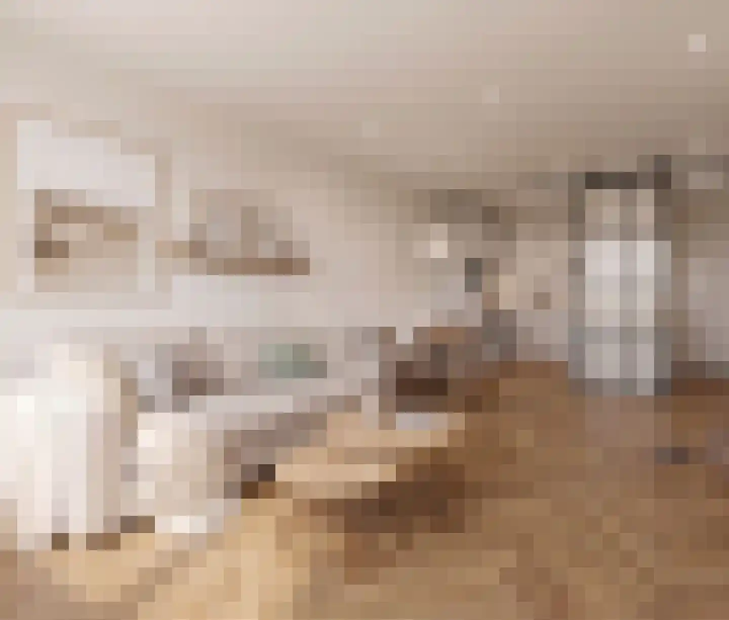 Zilverschoon 52 Uithoorn thumbnail 6