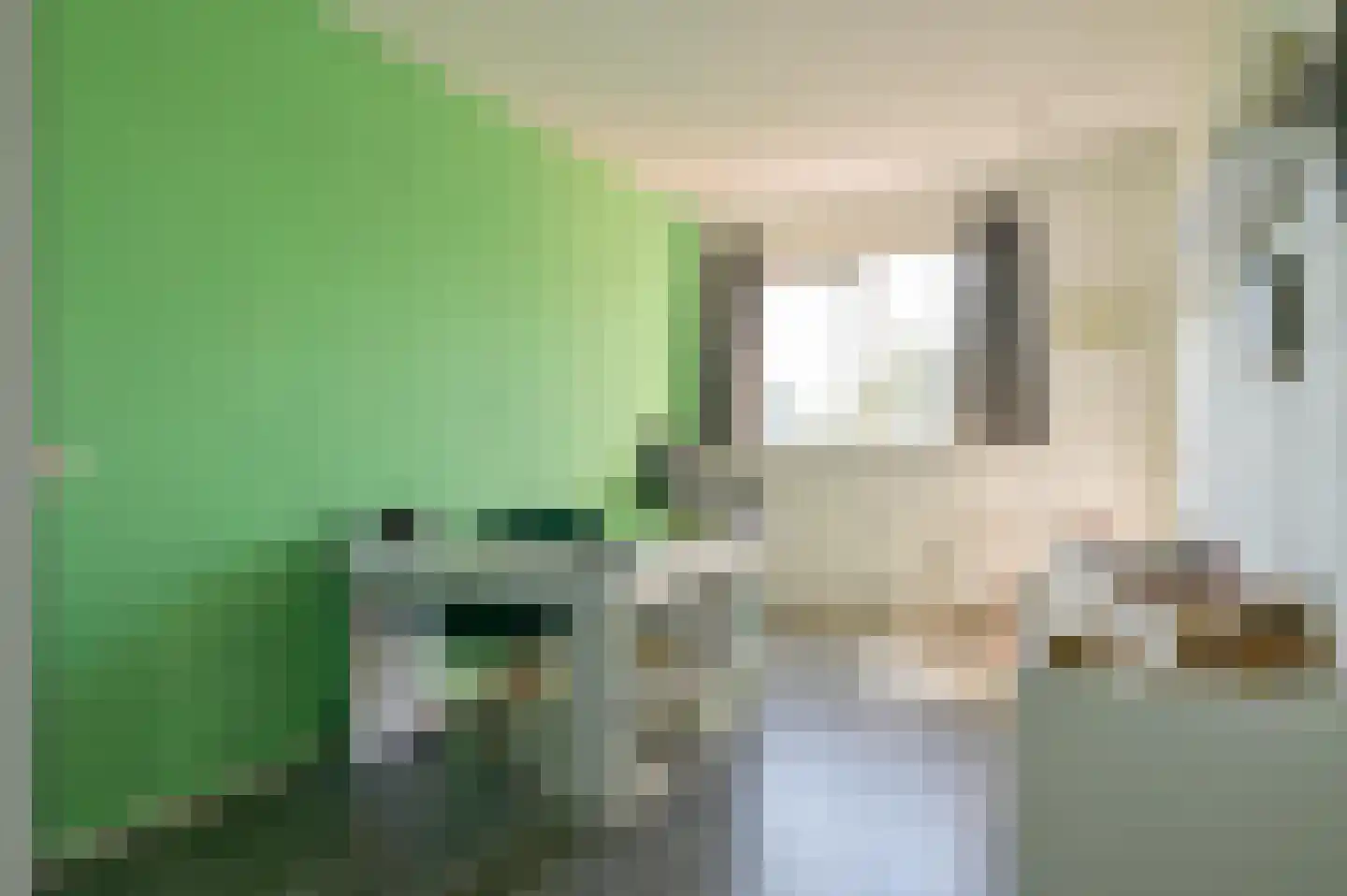 Zilverschoon 54 Uithoorn thumbnail 14