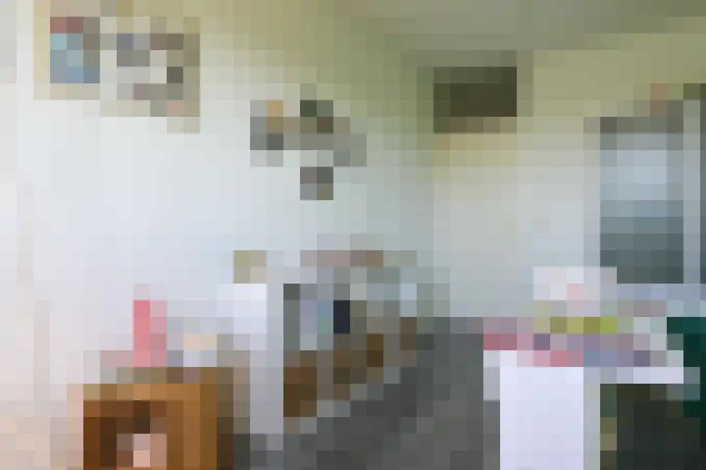 Zilverschoon 54 Uithoorn thumbnail 15