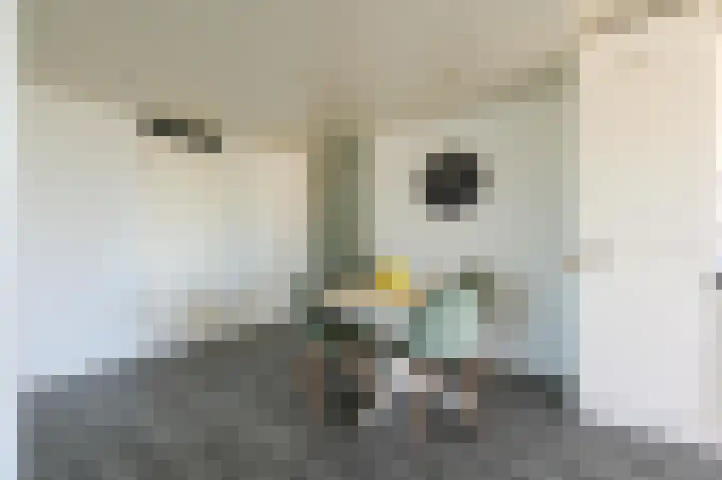 Zilverschoon 54 Uithoorn thumbnail 8