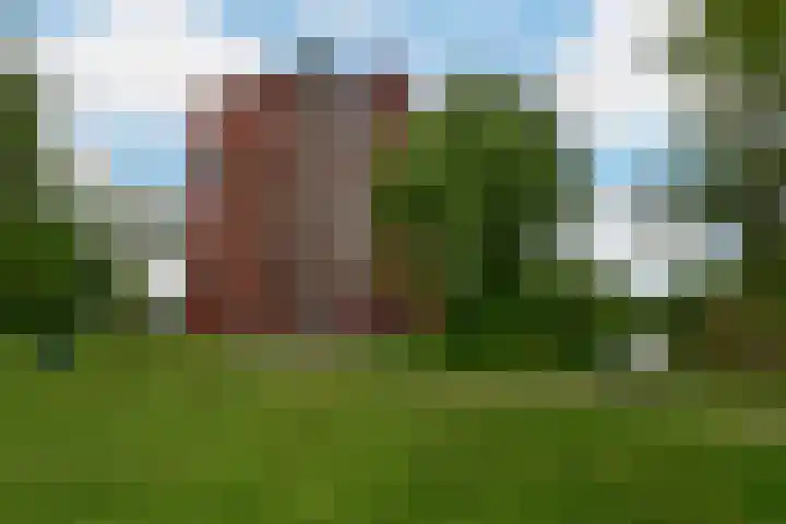 Zilverschoon 55 Uithoorn thumbnail 17