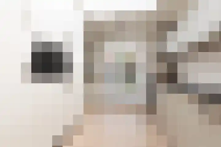Zilverschoon 58 Sneek thumbnail 12