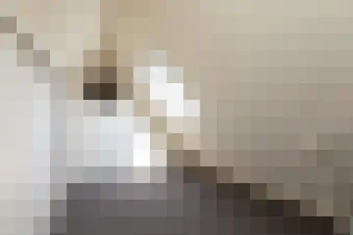 Zilverschoon 58 Sneek thumbnail 30