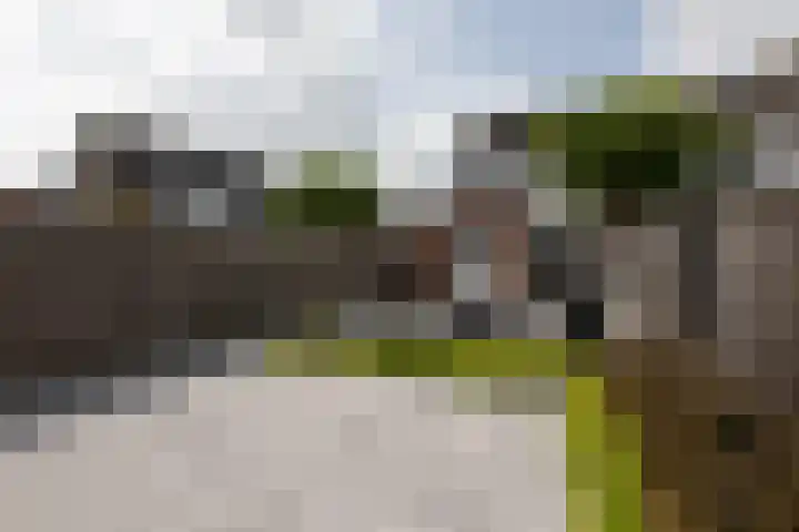 Zilverschoon 58 Sneek thumbnail 38