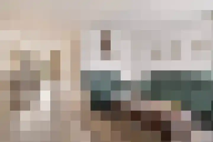 Zilverschoon 59 Venray thumbnail 4