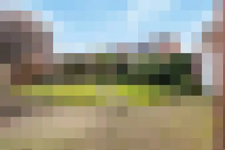 Zilverschoon 59 Venray thumbnail 8