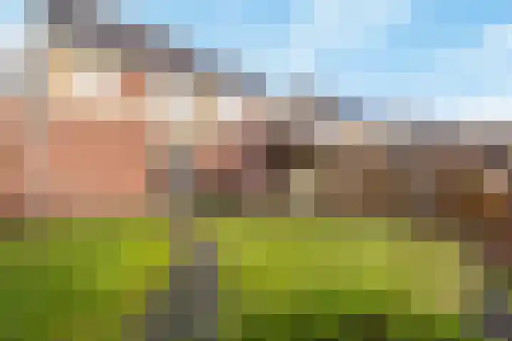 Zilverschoon 59 Venray thumbnail 9