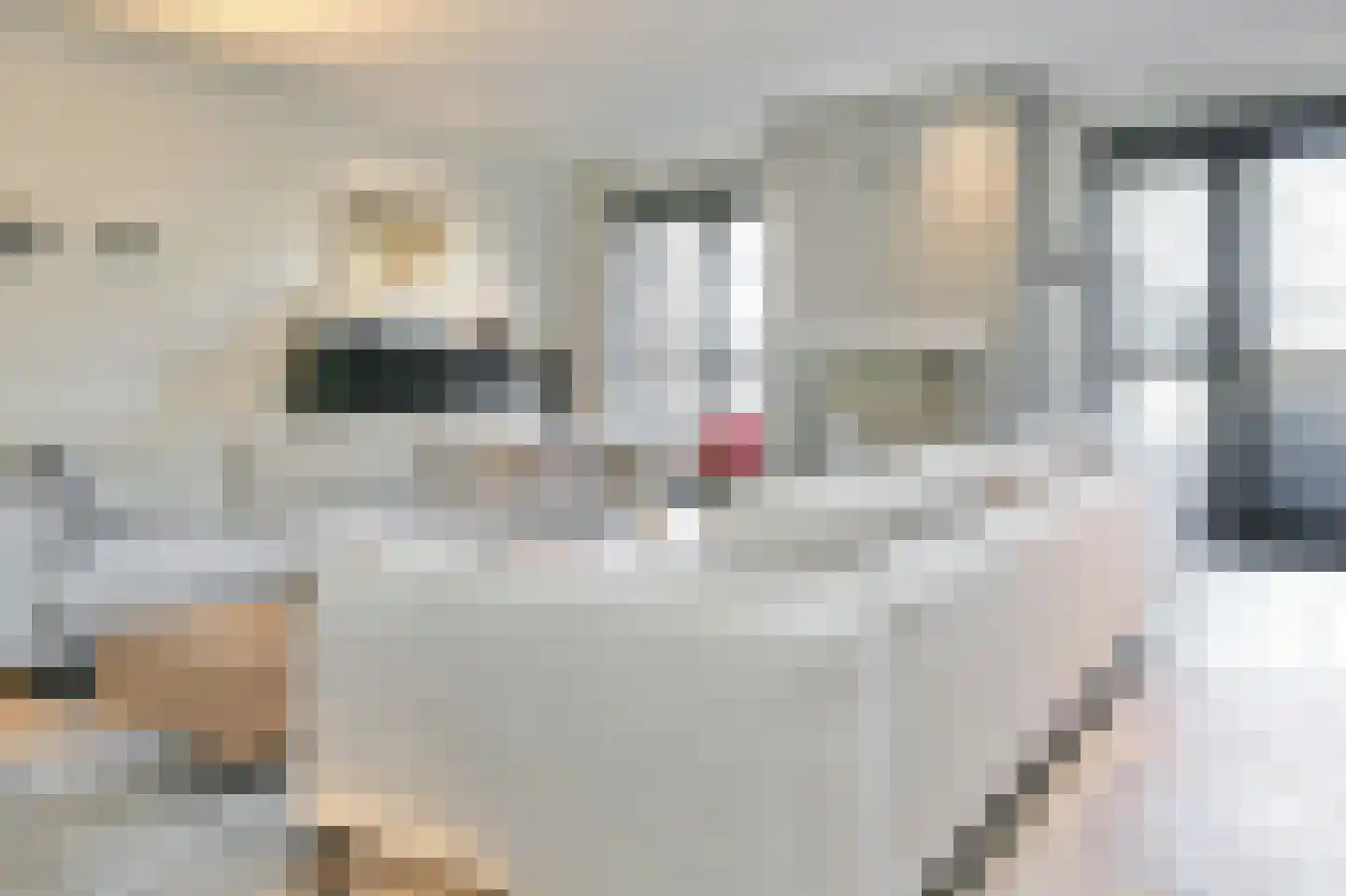 Zilverschoon 6 Badhoevedorp thumbnail 12