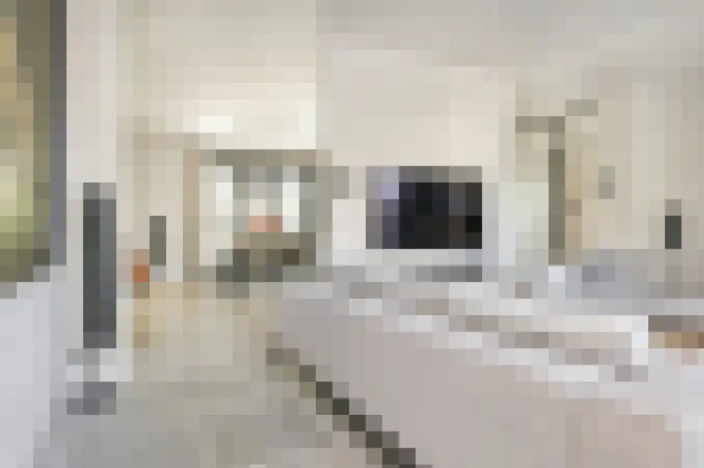 Zilverschoon 6 Badhoevedorp thumbnail 13