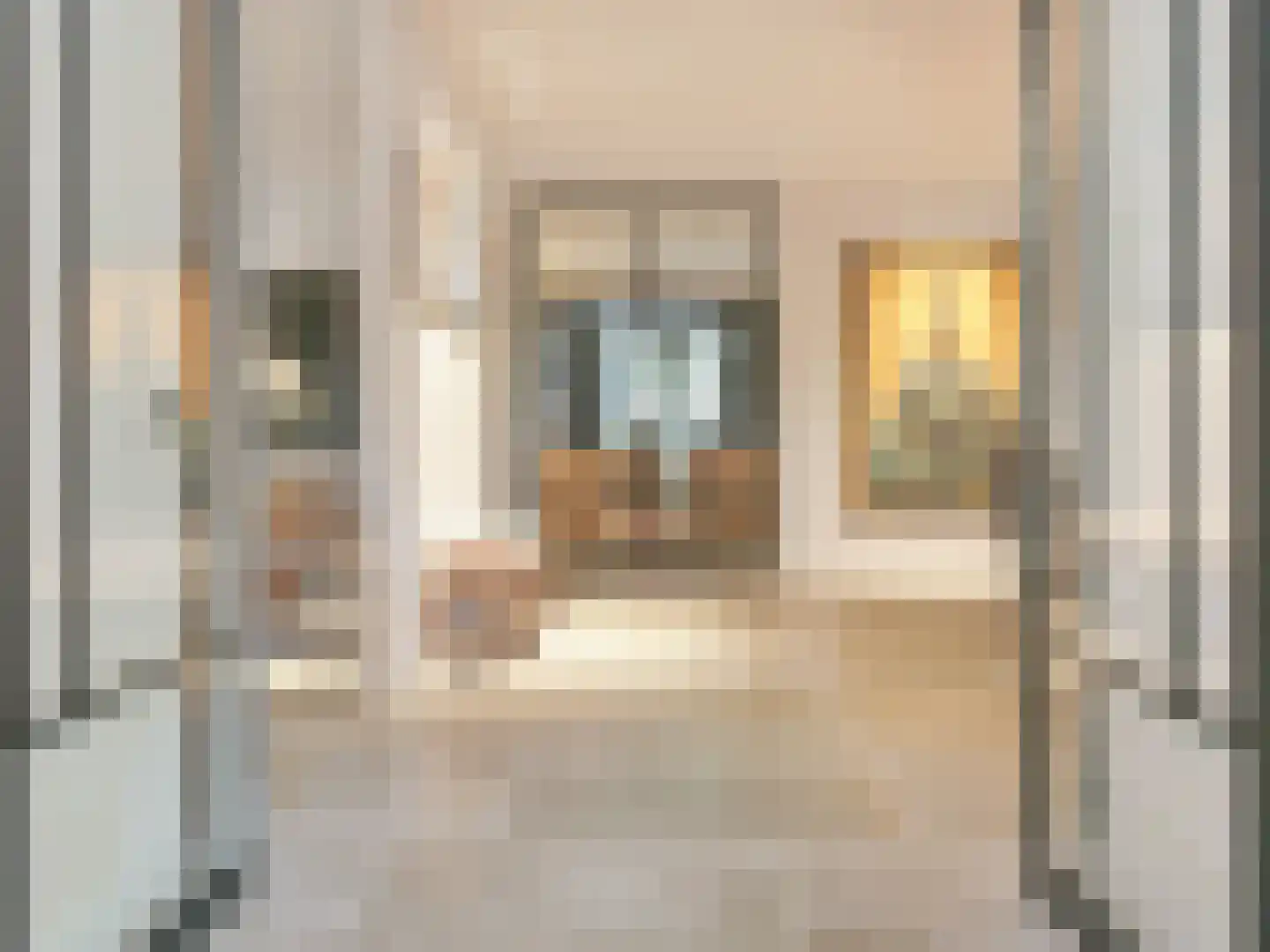Zilverschoon 6 Badhoevedorp thumbnail 16