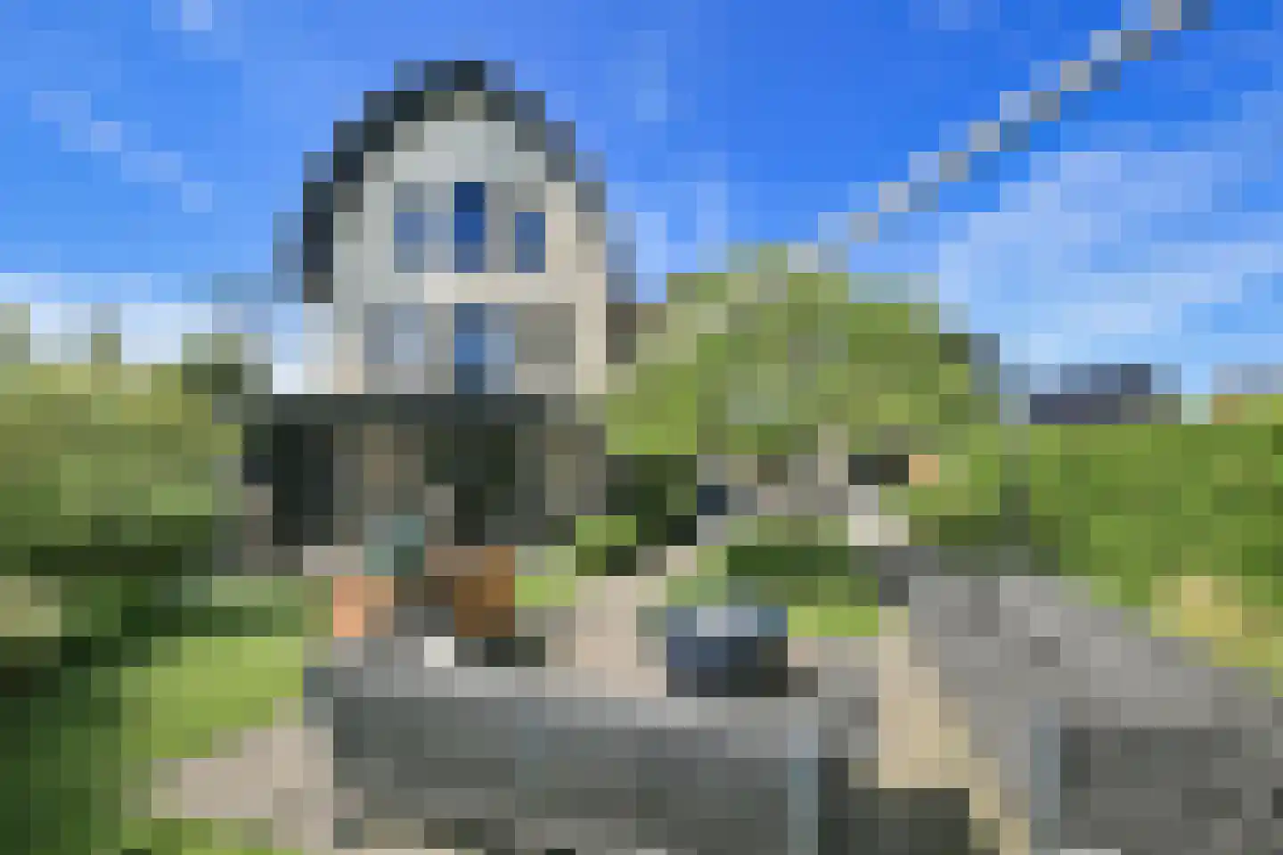 Zilverschoon 6 Badhoevedorp thumbnail 22