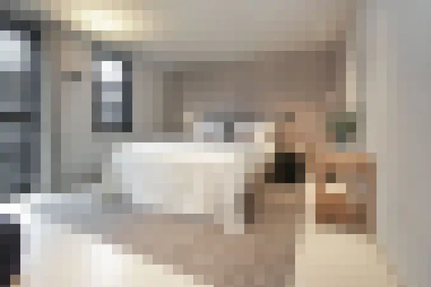 Zilverschoon 6 Badhoevedorp thumbnail 31