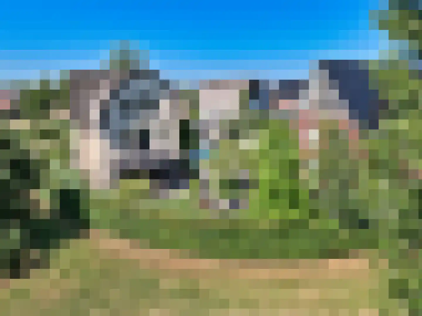Zilverschoon 6 Badhoevedorp thumbnail 5