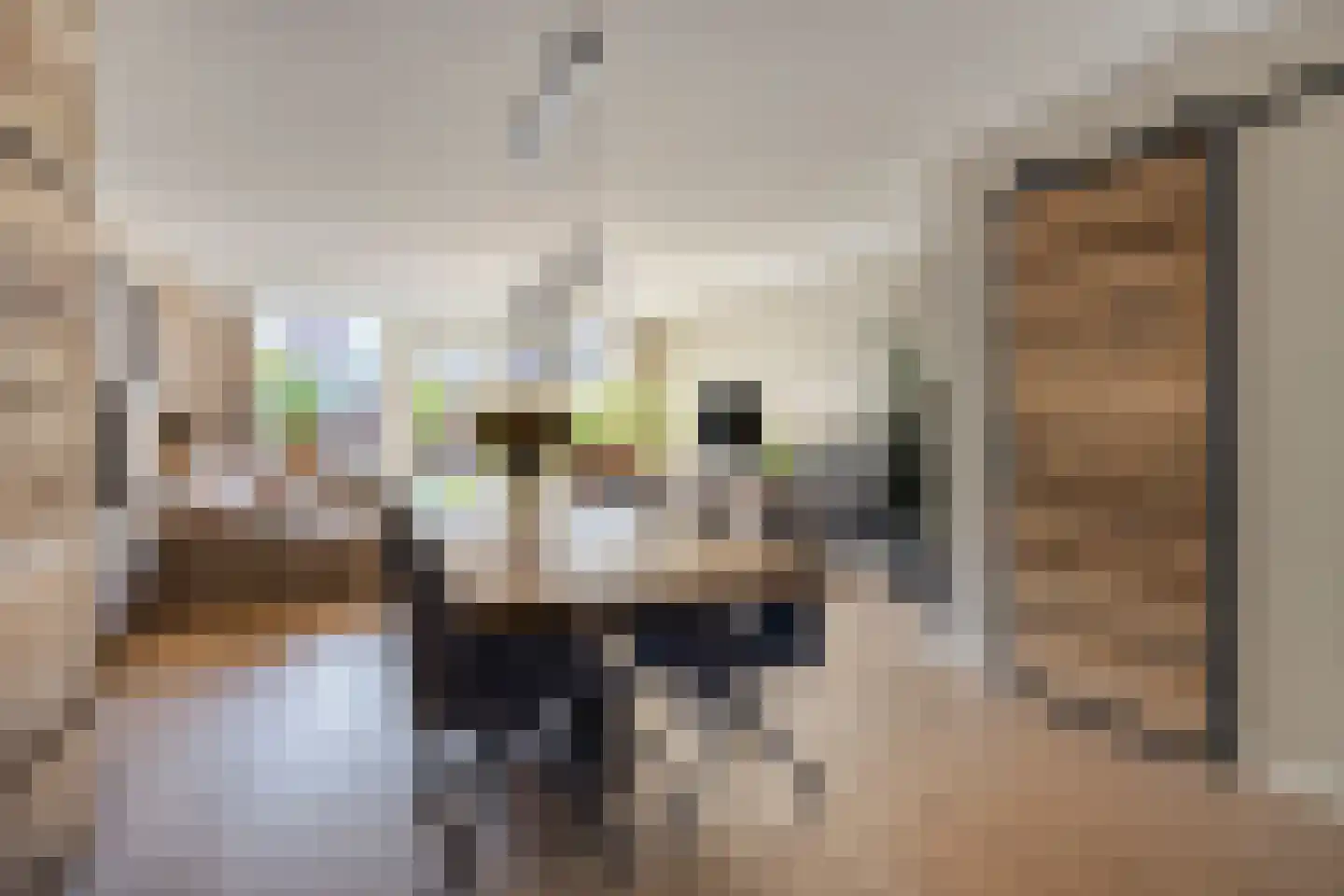 Zilverschoon 6 Valkenburg thumbnail 10