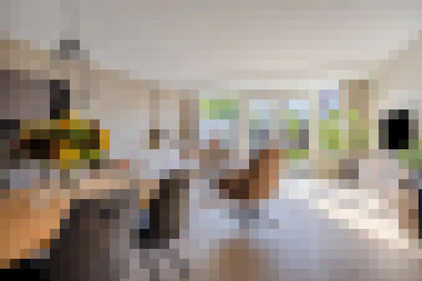 Zilverschoon 6 Valkenburg thumbnail 12
