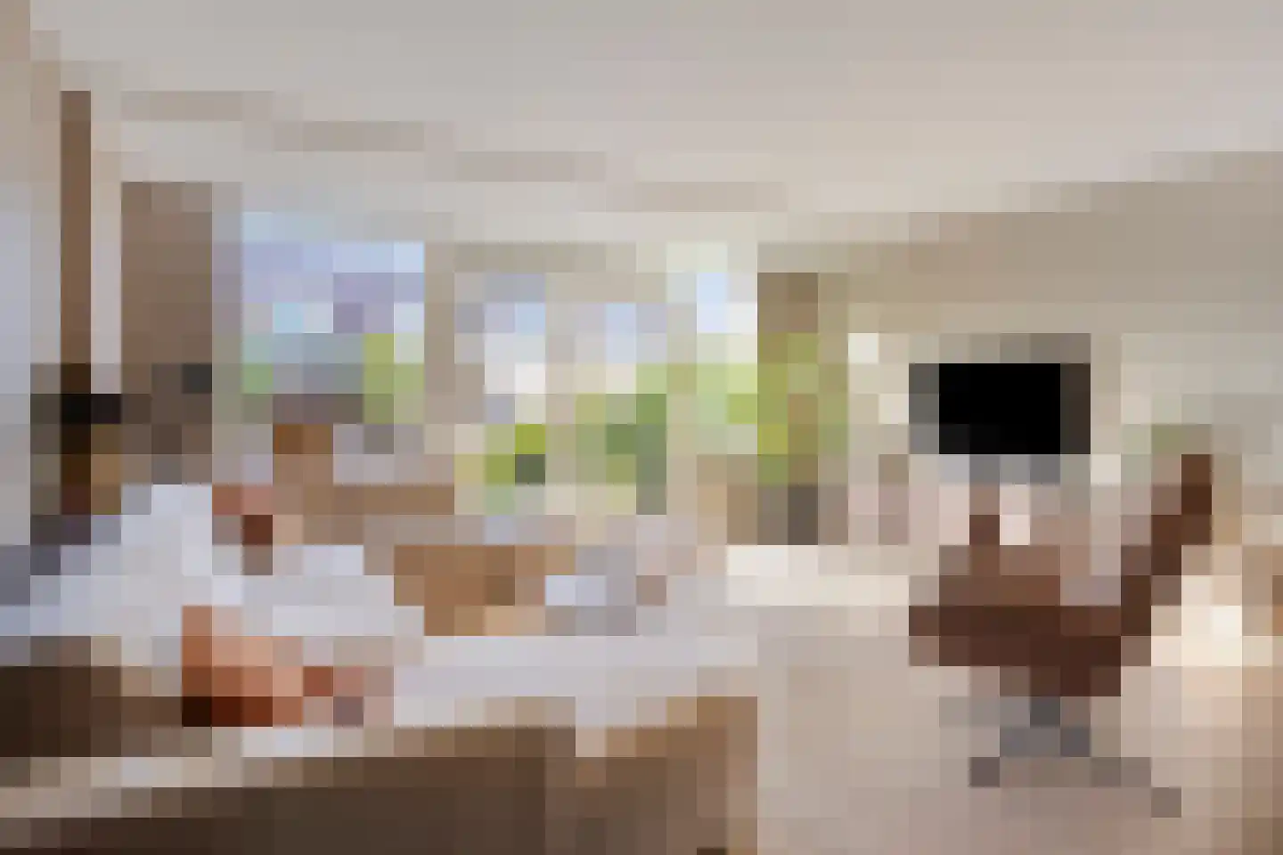 Zilverschoon 6 Valkenburg thumbnail 13