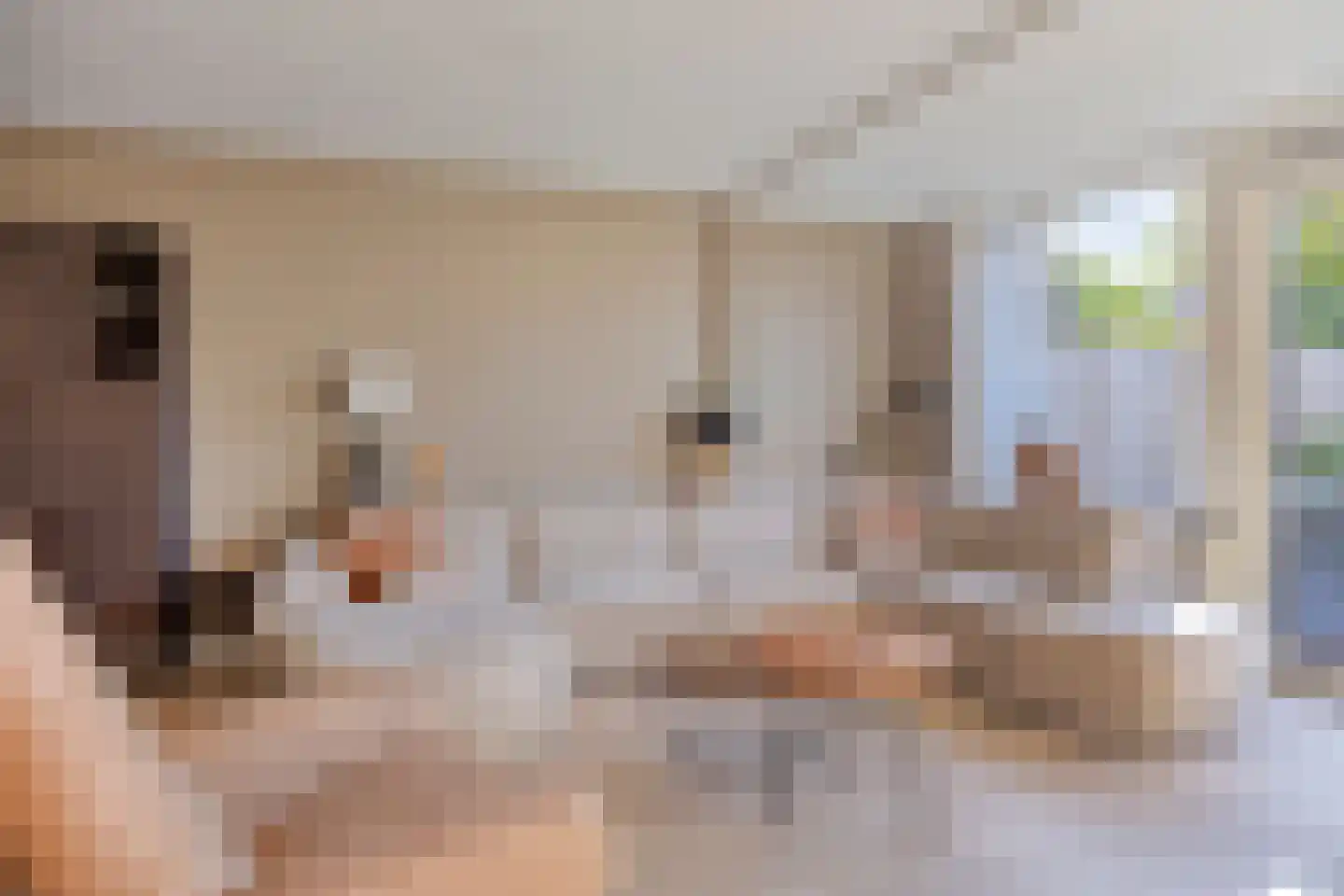 Zilverschoon 6 Valkenburg thumbnail 14