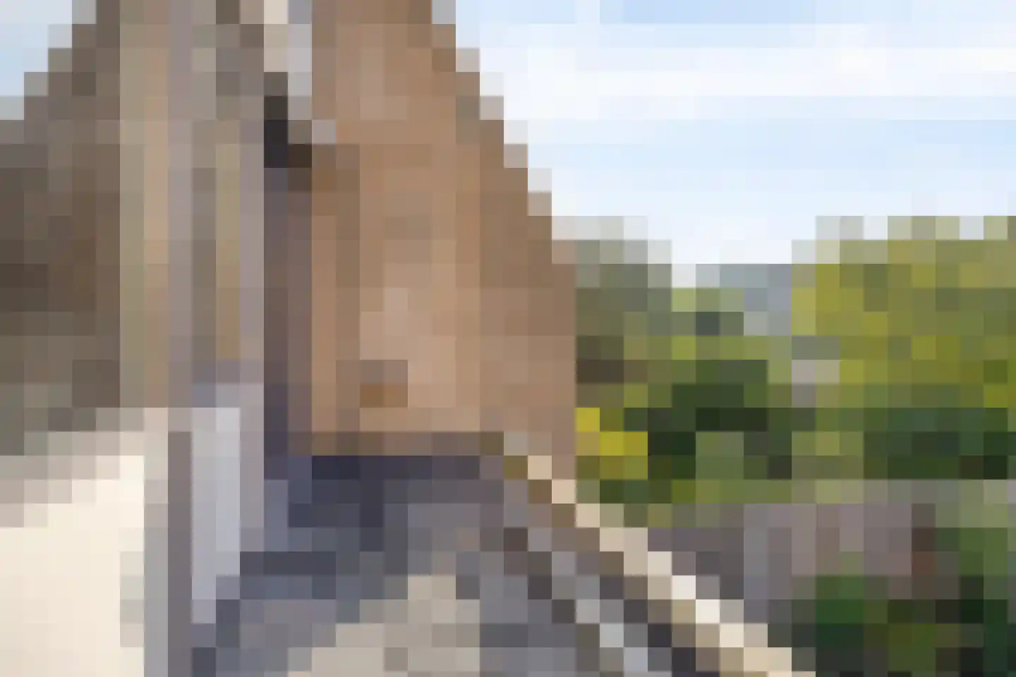 Zilverschoon 6 Valkenburg thumbnail 38