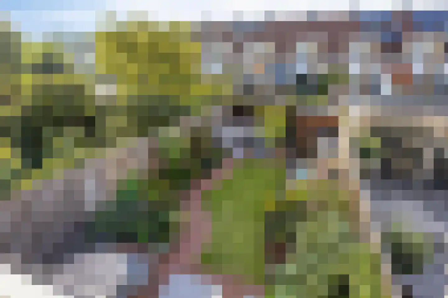 Zilverschoon 6 Valkenburg thumbnail 39