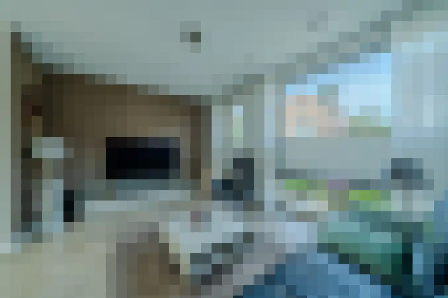Zilverschoon 6 Veldhoven thumbnail 10