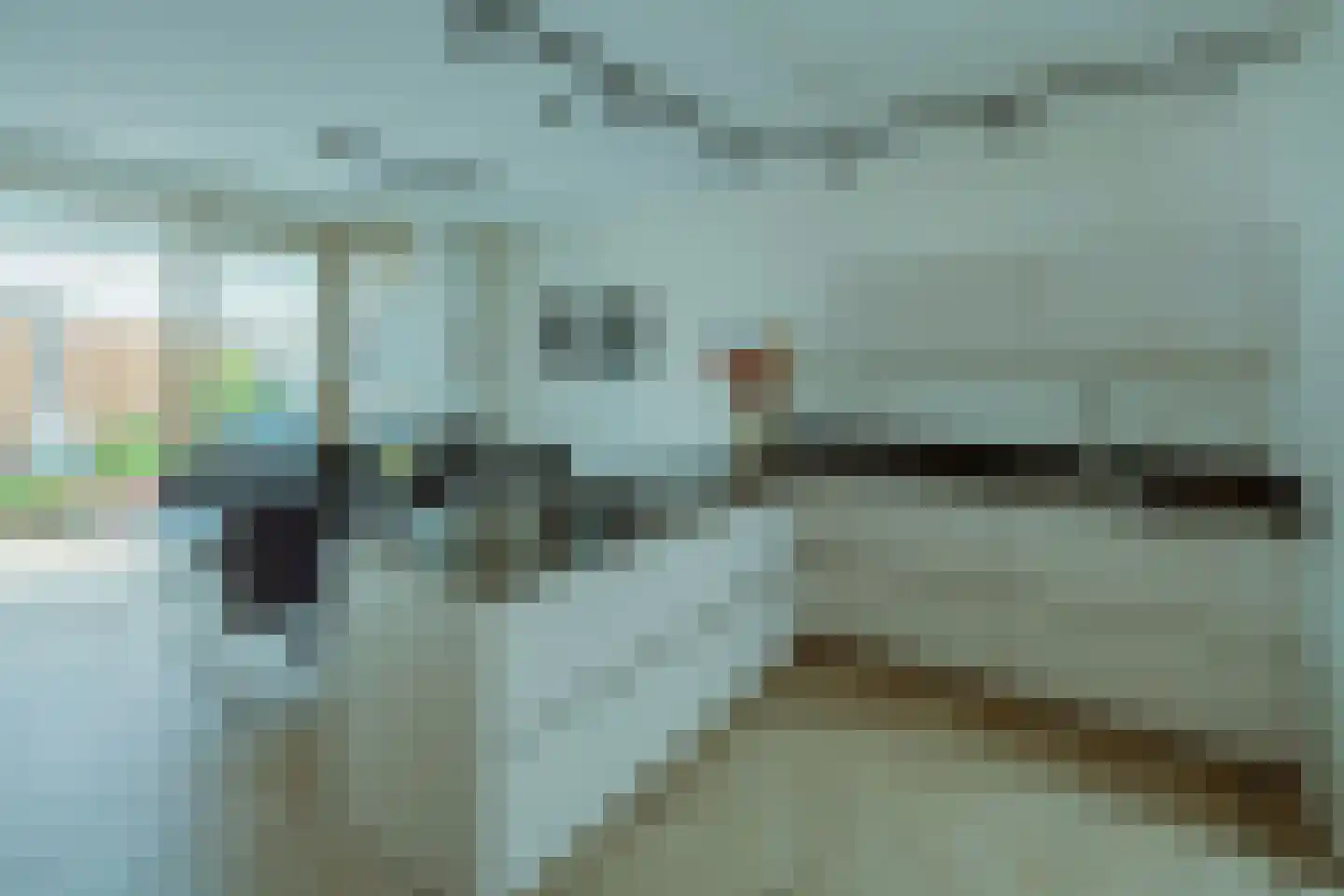 Zilverschoon 6 Veldhoven thumbnail 13