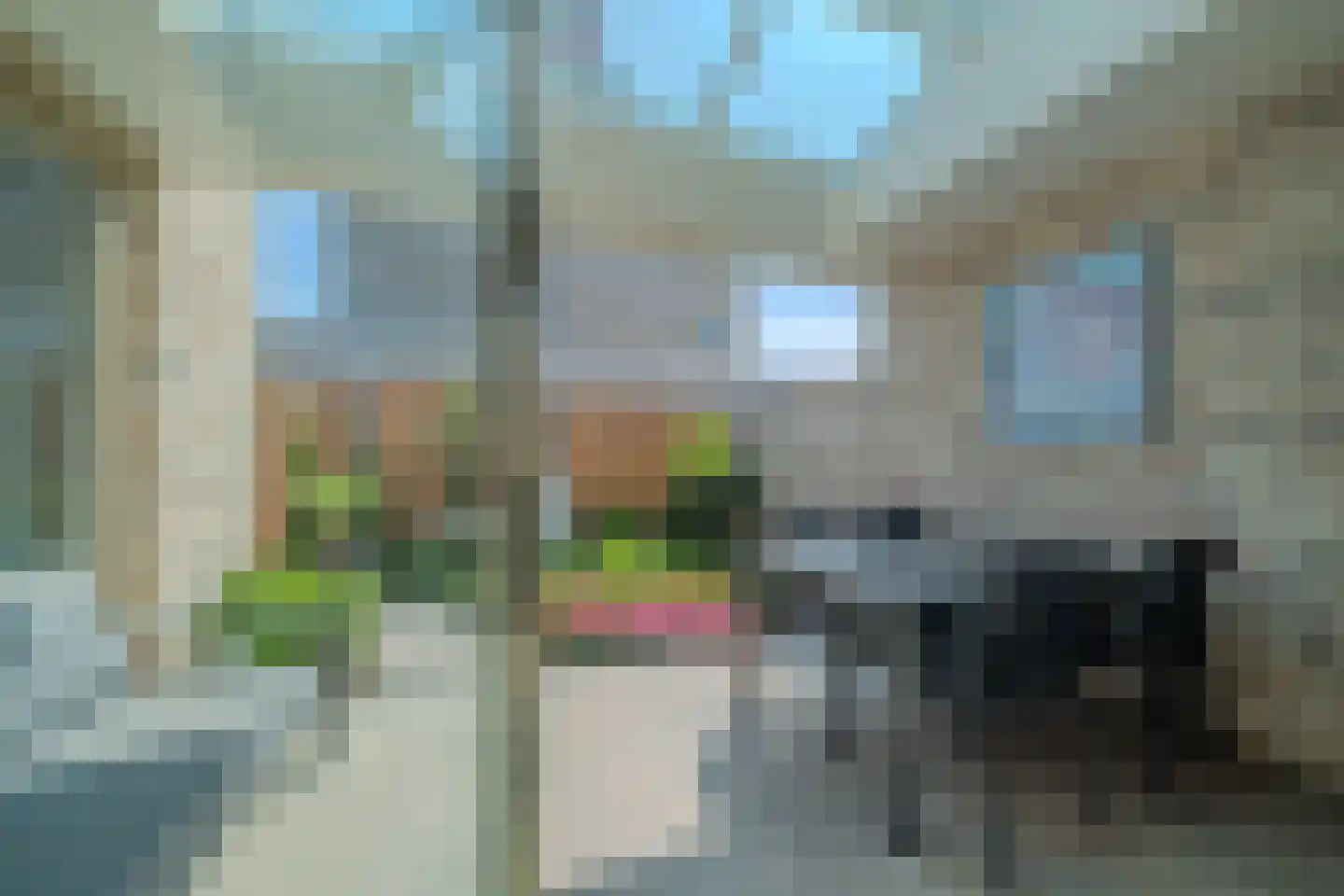 Zilverschoon 6 Veldhoven thumbnail 17