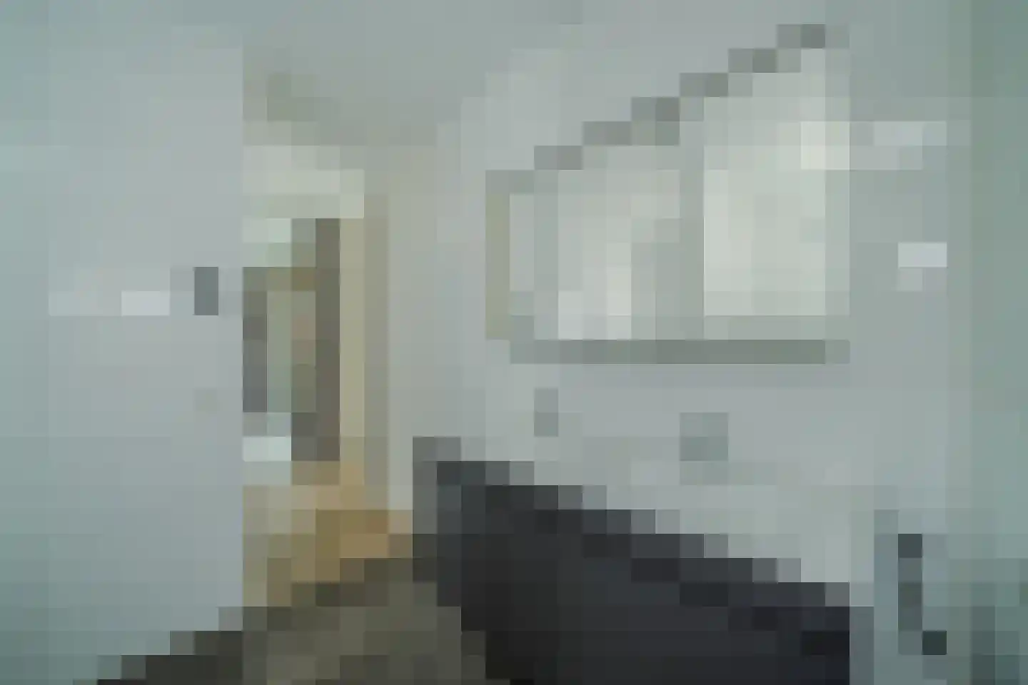 Zilverschoon 6 Veldhoven thumbnail 26