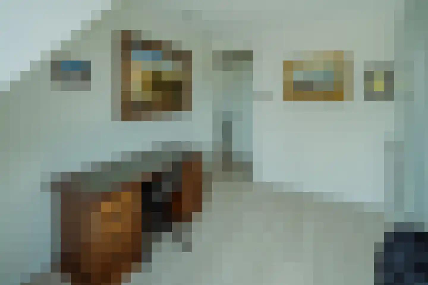 Zilverschoon 6 Veldhoven thumbnail 32