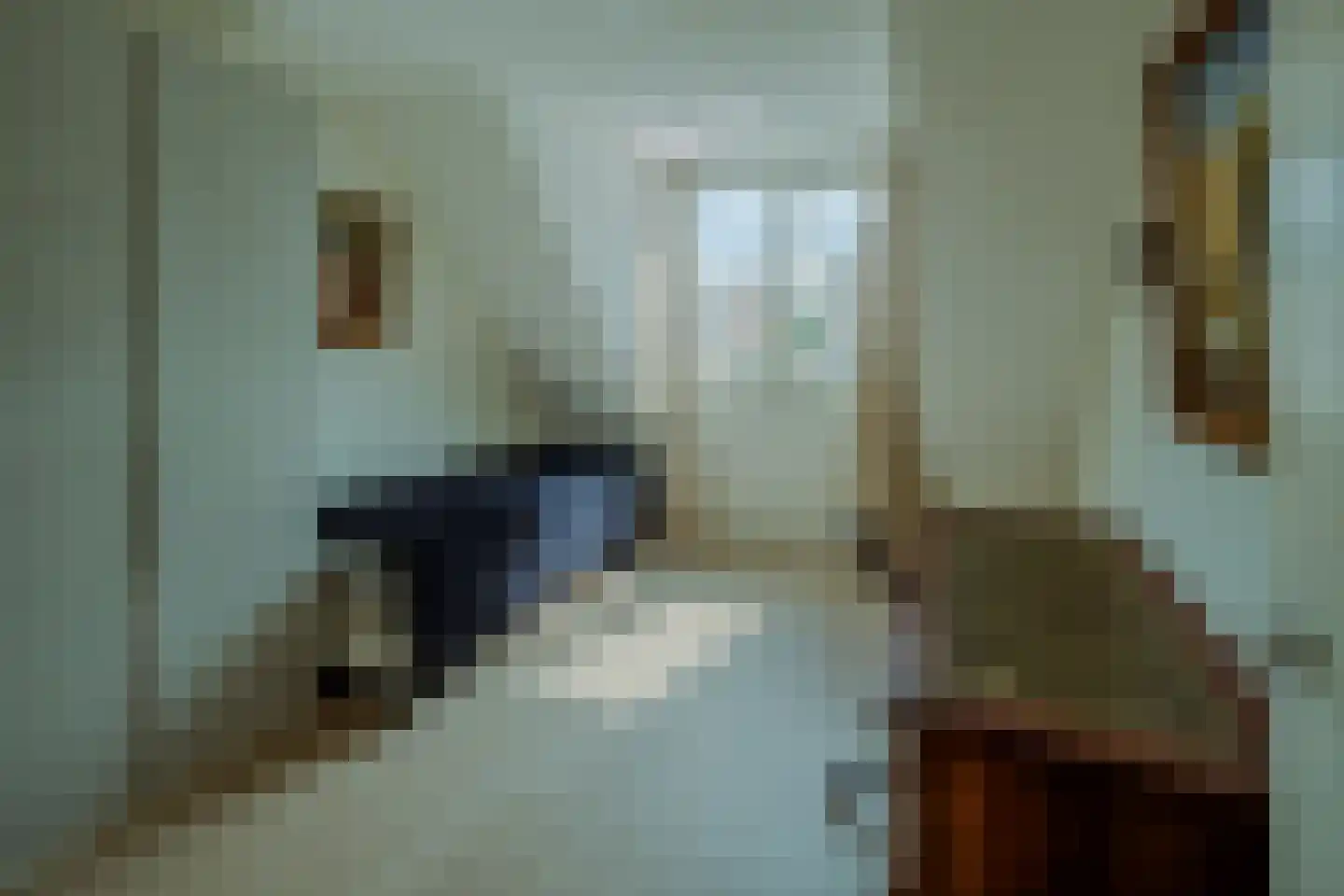 Zilverschoon 6 Veldhoven thumbnail 33