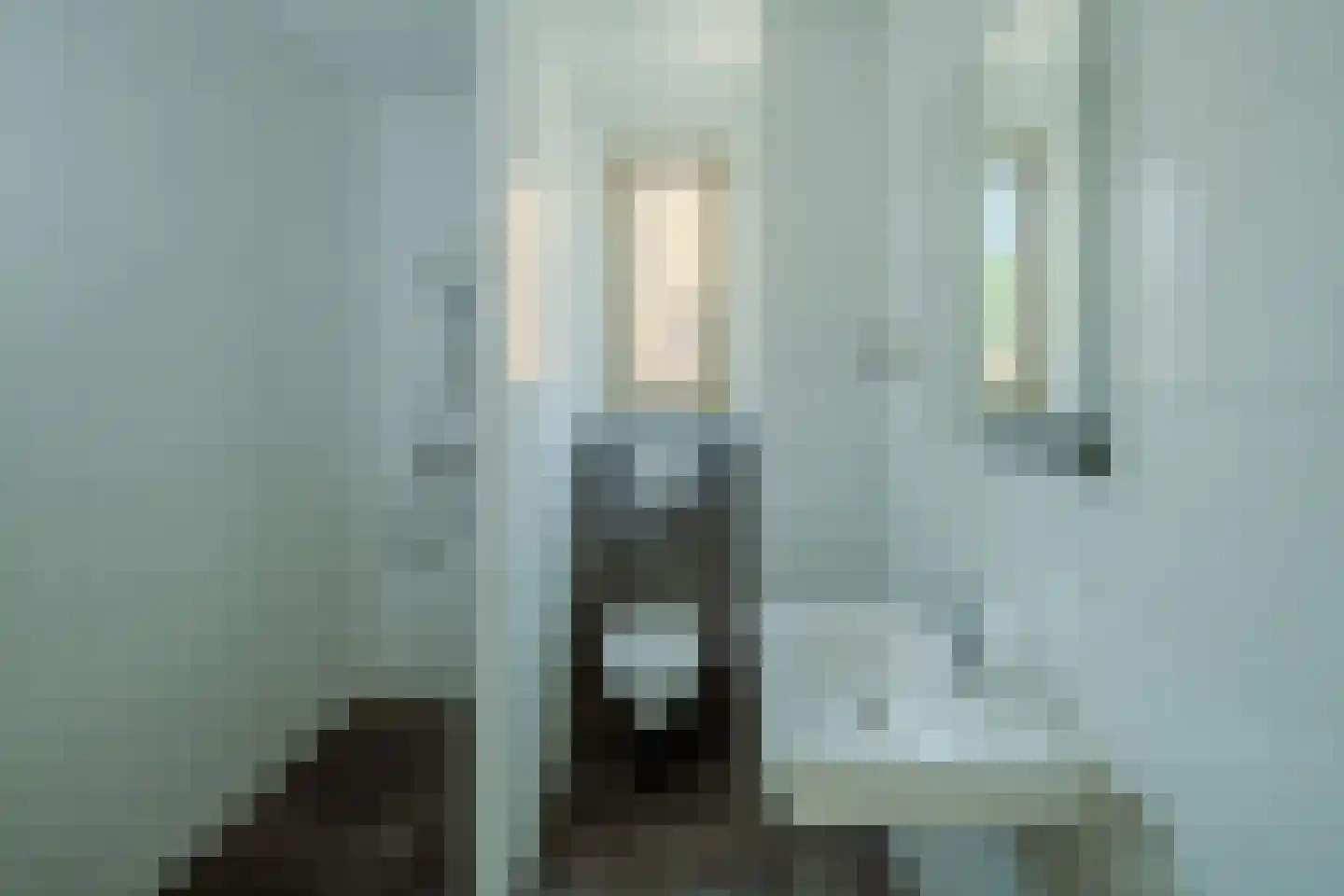 Zilverschoon 6 Veldhoven thumbnail 34